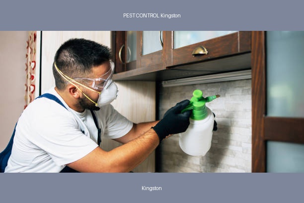 PEST CONTROL Kingston